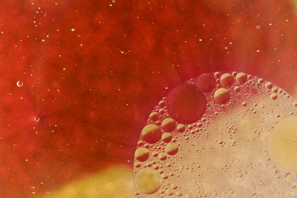 RMIT Online digital learning platform case study